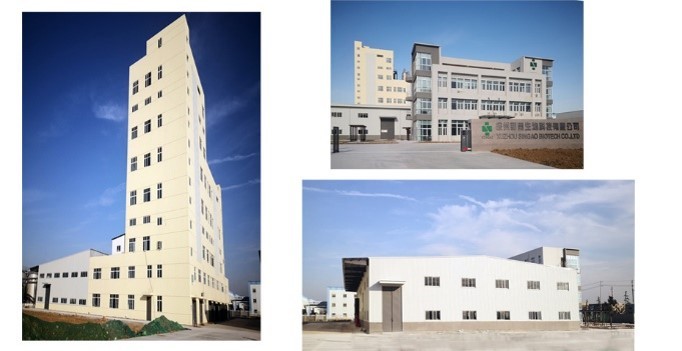 Singao (Xiamen) Agribusiness Development Co., Ltd. خط إنتاج المصنع