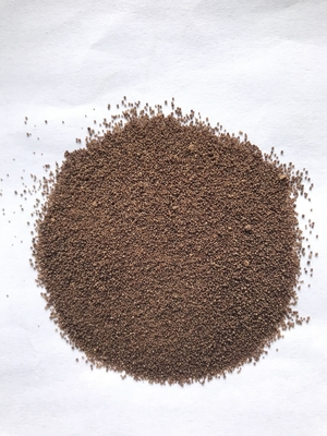 البروبيوتيك Clostridium butyricum