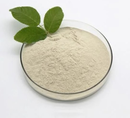 Bacillus Subtilis 90٪ C4H7O2Na Sodium Butyrate Powder CAS 156-54-7